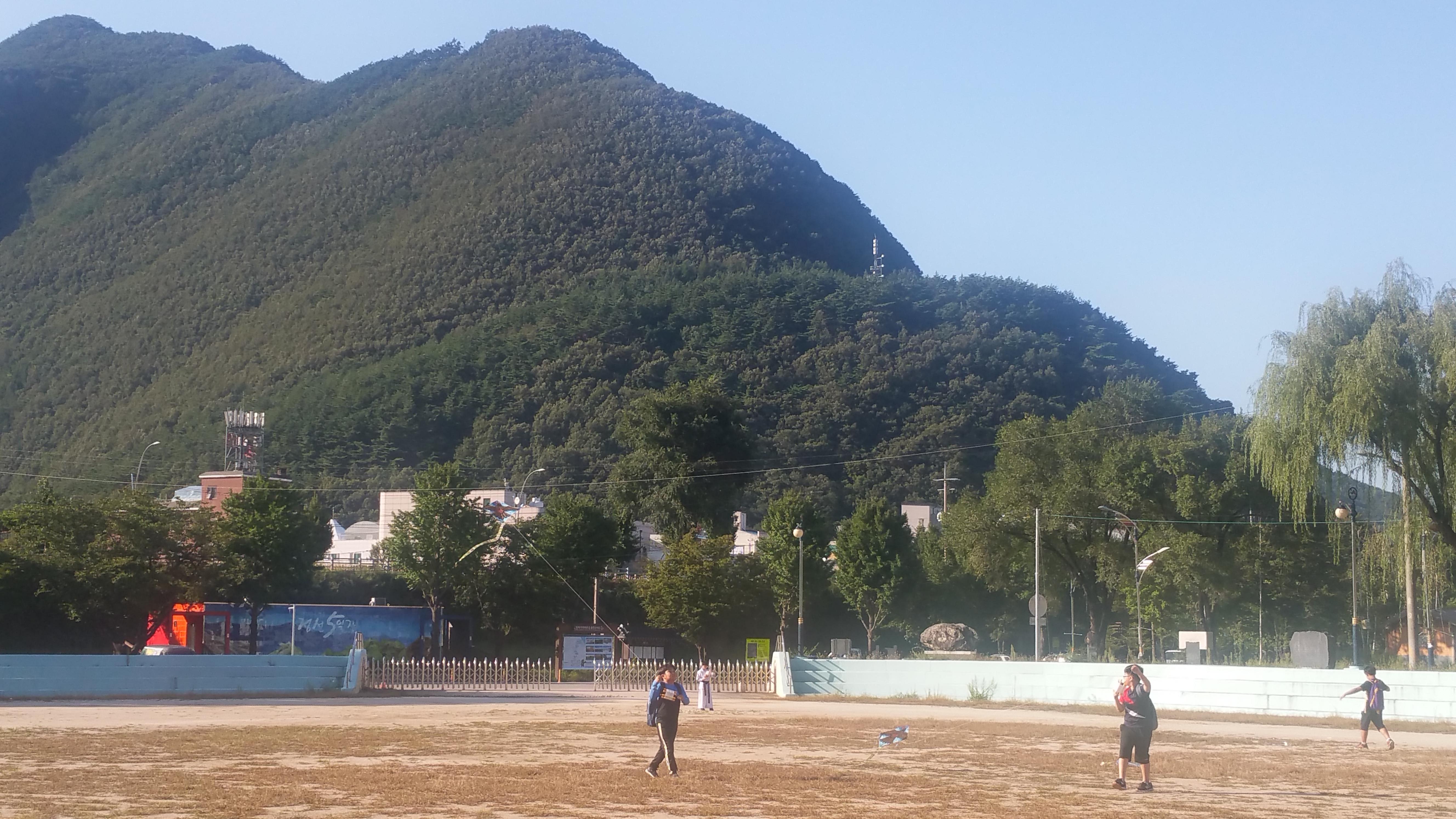 연(鳶)의 과학 사진